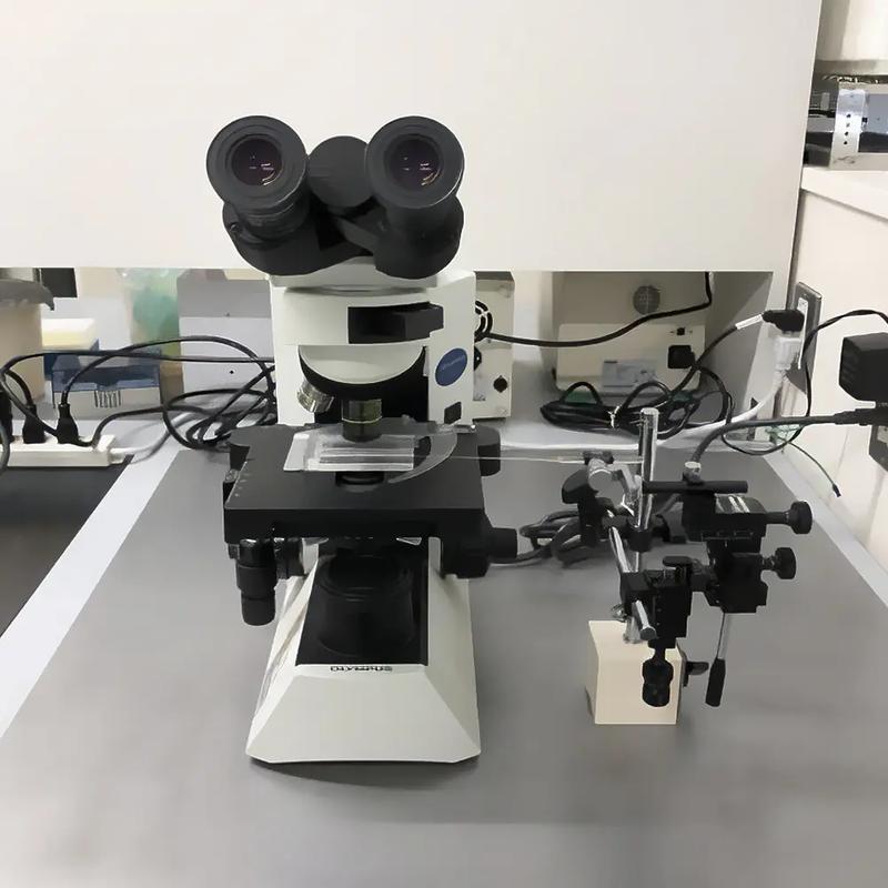 マイクロマニュピレーター付き顕微鏡
